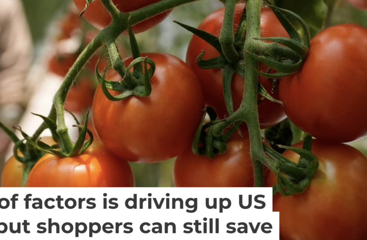While U.S. produce prices are rising across the board, tomatoes are among the most affected. AP Photo/Marco Ugarte
